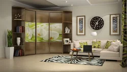 Wardrobe in the living room photo inexpensive