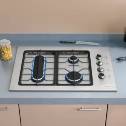 Two-Burner Gas Panels Built-In For The Kitchen Photo