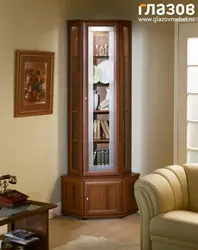 Corner cabinets in the living room for dishes modern photos