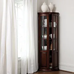 Corner cabinets in the living room for dishes modern photos