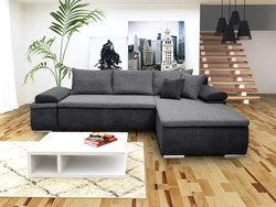 Sofas in the living room with a sleeping place photo