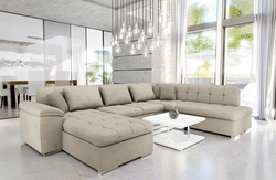 Sofas In The Living Room With A Sleeping Place Photo