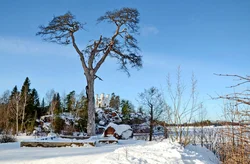 Хвоя Манрэпа фота кухняў