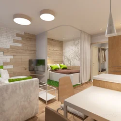 Eco Kitchen Living Room Design