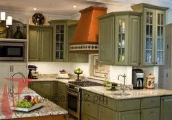 Swamp kitchen in the interior