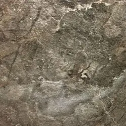 Mətbəx Daxili Fotoşəkildə Alambra Tezgahı