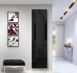 Black wardrobe in the hallway interior