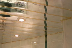 Mirror Ceiling Bath Photo