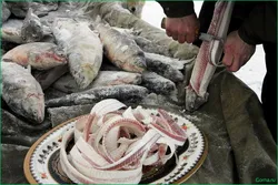 Chukotka Cuisine Photo