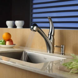 Detergent dispenser for the kitchen photo
