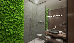 Moss In The Bathroom Photo