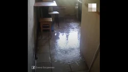 Затопленная кухня фото