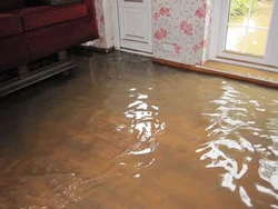 Flooded Kitchen Photo