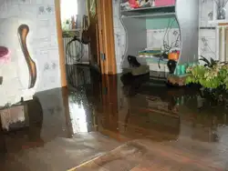 Катэгорыя 