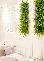 Bath With Plants Photo