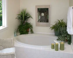 Bath with plants photo