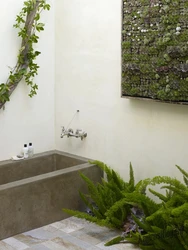 Bath With Plants Photo