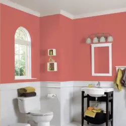 Waterproof Paint For Bathroom Photo