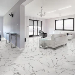 Marble-Effect Porcelain Tiles On The Kitchen Floor Photo