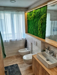 Stabilized Moss In The Bathroom Interior Photo