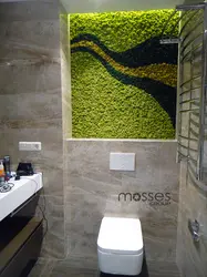 Stabilized moss in the bathroom interior photo