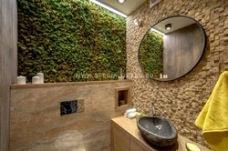 Stabilized moss in the bathroom interior photo