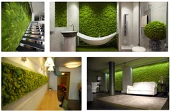 Stabilized moss in the bathroom interior photo