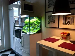 Кухня с аквариумом фото