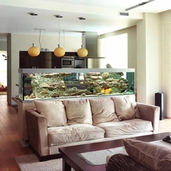 Kitchen with aquarium photo