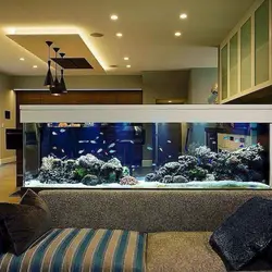Aquarium In The Bedroom Photo