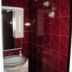 Burgundy Tiles In The Bathroom Photo