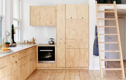 DIY Plywood Kitchen At Home With Photo