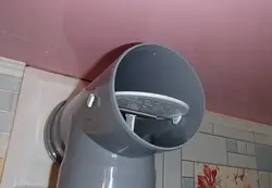 Oshxonadan ko'cha fotosuratigacha kaput