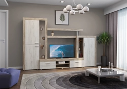Atlanta Living Room In The Interior