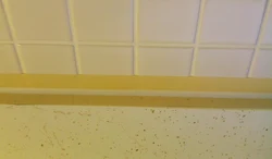 Bathtub Grout Photo