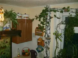 How to decorate a chimney in the kitchen photo ideas