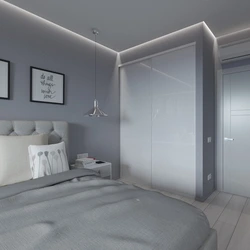 Bedroom living room design in gray tones