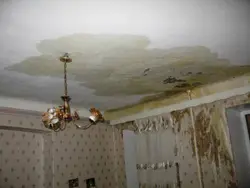 Затопленая Кватэра Фота Столі