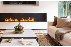 Built-In Biofireplaces In The Living Room Interior