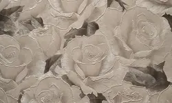 Mətbəx üçün divar kağızı isti ştamplama fotoşəkili
