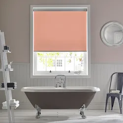 Bathroom blinds design