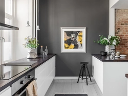 How to dilute the interior of a white kitchen