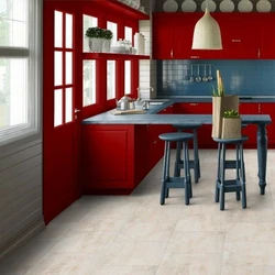 Tarquette in the kitchen interior