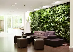 Wall With Flowers In The Living Room Interior Photo