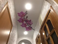 Ceilings for kitchen and hallway designs