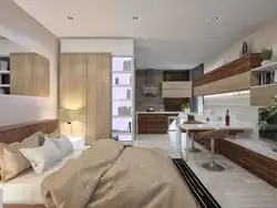 Studio dizaynı 20 kv m mətbəx və yataq otağı ilə