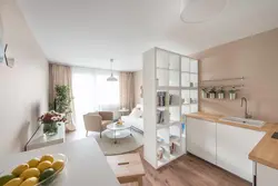 Studio design 20 sq m with kitchen and bedroom