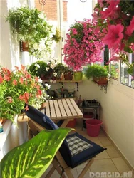 Garden On The Balcony In The Apartment Photo