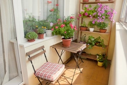 Garden on the balcony in the apartment photo