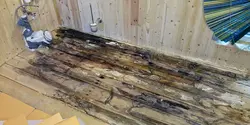 Пол для ванны в деревянном доме фото